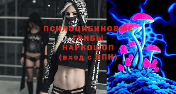 марки nbome Ельня